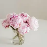 両脇光脱毛1回
