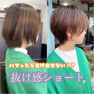 ⭐️土日祝限定⭐️レディースカット