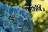 まどろみ(お気軽)コース
