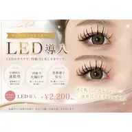 🆕6月限定LED💡Wフラットラッシュ100本✨