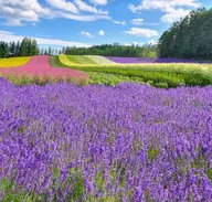 【30分】❤️🩹誰にも言えない、相談できない。そんなお悩みを聞きます。話を聞いてほしい。※電話、ライン、での対応可