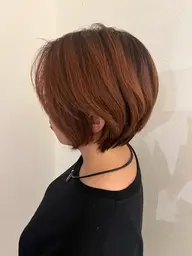 ショートカットモデル