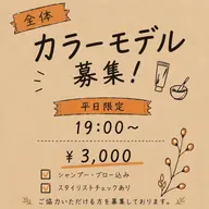 全体カラー✨モデル