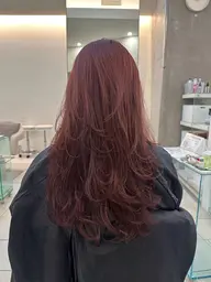 🌻夏限定メニュー🌻レディースカット✖︎艶カラー✖︎Aujua トリートメント🫧