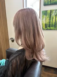 ダブルカラーのみ