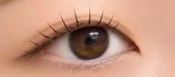 マツエク【セーブル120本、アイシャンプー付き】