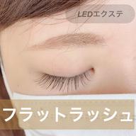 LEDセーブルフラットラッシュ 100本