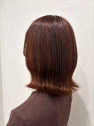 レディースメンテナンスカット[ボブ​〜​ミディアム]✂️➕カラーリング🦋