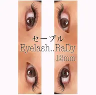 セーブル100本