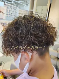 ウィービンクカラー(ハーフ)