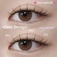 フラットラッシュ120本