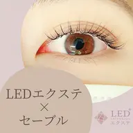 🫧🩵【LEDエクステ】🩵🫧セーブル 140本 ¥1000