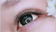 Wラッシュ/3Dボリュームラッシュ ​〜​60束(0.07mm×3本/1束)