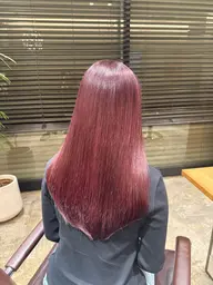 🐚【モデル価格】透明感ワンカラー୨୧
