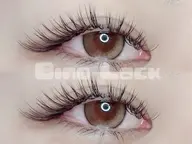 【モデル募集💠】🍀バインドロック🍀 60束(120本)