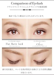 フラットラッシュ140本
