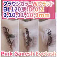 🌸期間限定・ブラウンカラーWフラットラッシュ バインドロック120束(240本)🌸💕2ヶ月持続と好評です👍