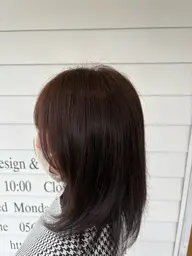 ファッションカラー