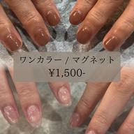 【🍁10月末まで限定🍁】ワンカラー/マグネット（オフ込み）¥6,900- → ¥1,500-🪄🤍