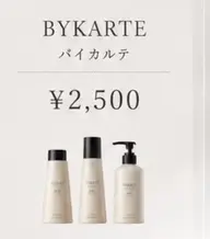 【素髪のような質感へ】バイカルテトリートメント