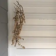 オフのみ