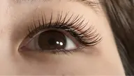 シングルラッシュ80本🌷