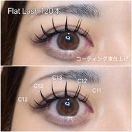 【minimo限定】フラットラッシュ120本🌿