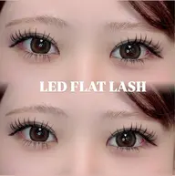高持続LEDフラットラッシュ🌏🌟100本【オフ無料】【初回​〜​3回目まで】