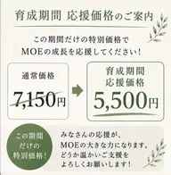 【期間限定】 まつ毛パーマ 育成価格