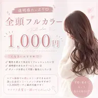全頭フルカラー（ブリーチ無し）