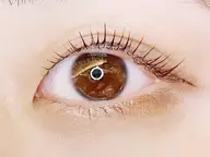 🕊2回目以降の方🌷パリジェンヌラッシュリフト　まつ毛を根元から立ち上げる事で自まつ毛の長さを最大限に引き出せます