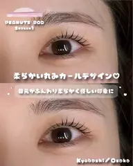 【期間限定】上下まつ毛パーマ(ラッシュリフト)💫《下まつげパーマプレゼント🎁✨️》