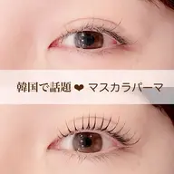 《ご新規様》💖🧁韓国マスカラパーマ(上のみ)エクステオフ＋¥1100/時間＋15分⚠️遅刻厳禁 通常パリのご案内⚠️