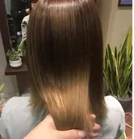 【初回限定】透明感カラー&3STEPトリートメント