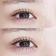 パリジェンヌラッシュリフト　上下（トリートメント付き）