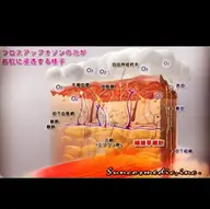 🌿贅沢全身トリートメント🌿