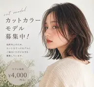 カットカラーモデル