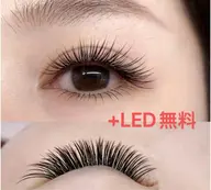 LED 【スーパーセールセット割上下】/フラットラッシュ 100本&下20本