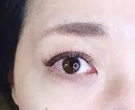 【minimo限定価格】バインドロック80束