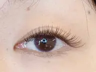 🤍【フラットラッシュ】🐩 100本 オフ込み✨