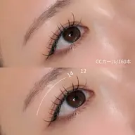 【フラットラッシュ】100本(オフ込み)