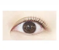 🌸学生限定30%OFF🌸デザインラッシュリフト(まつ毛パーマ)角度やカール感はお好みで調整OK⸜🙌🏻⸝‍