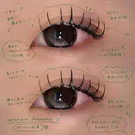 🌹ダブルフラット 80束
