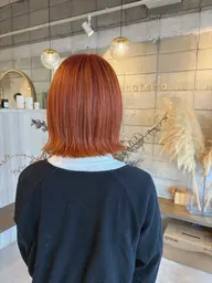 【平日割あり】🦋カット＋ケアブリーチ＋カラー＋3stepトリートメント