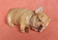 最小顔理論カット➕新世代デジタルパーマ➕極潤艶トリートメント