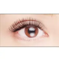 【🌼軽さモチ◎🌼】フラットラッシュつけ放題1h