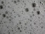 🎀【お出かけ前のスタイリング】🎀シャンプー&スタイリング🫧(ストレートorコテ巻き仕上げ)ブロー込み