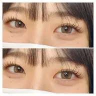 100本(オフ込)☆フラットラッシュ・セーブル・ミンク・オールブラウン☆