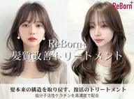【極上のうる艶髪🕊️】カット＋ReBorn髪質改善トリートメント