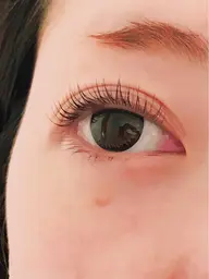 1回限りお試しラッシュリフト